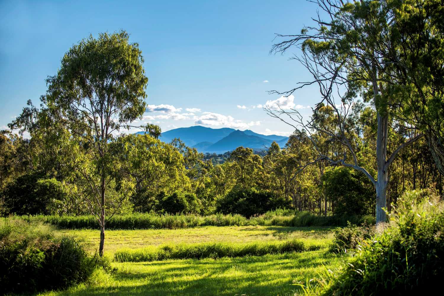 [Land for Sale] Hillview Estate, Boonah OpenLot